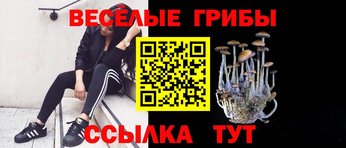 Галлюциногенные грибы мицелий Североморск